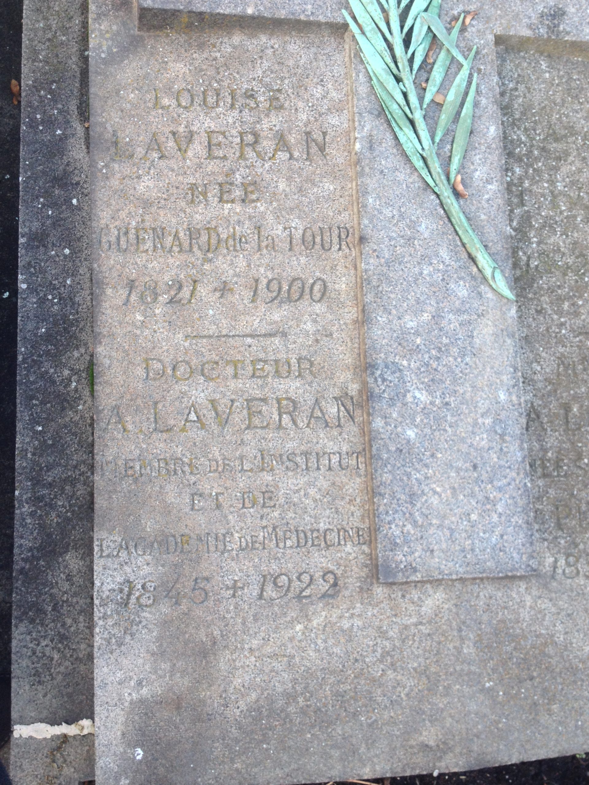 Charles Louis Alphonse Laveran's tomb (3).JPG